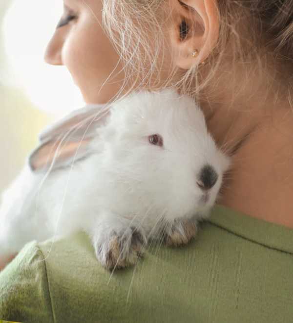woman with rabbit